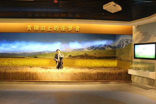 青稞之脉.jpg